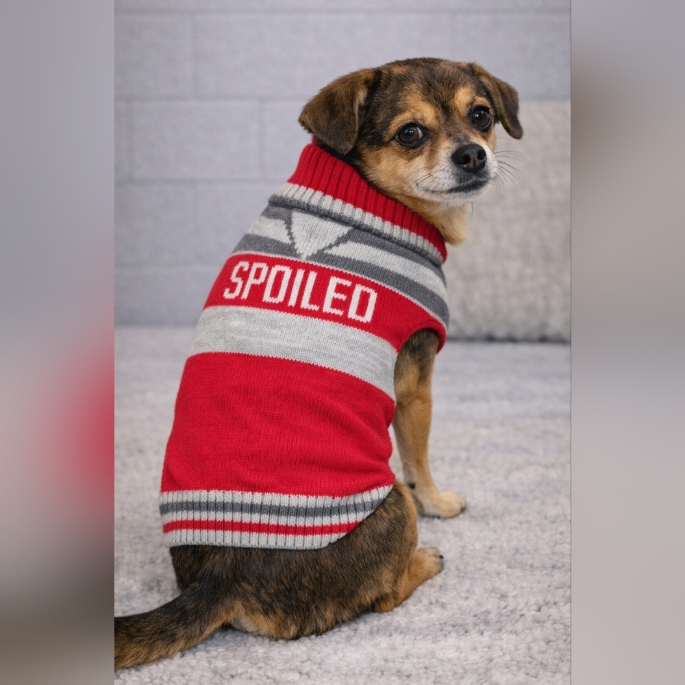 "Spoiled" dog sweater